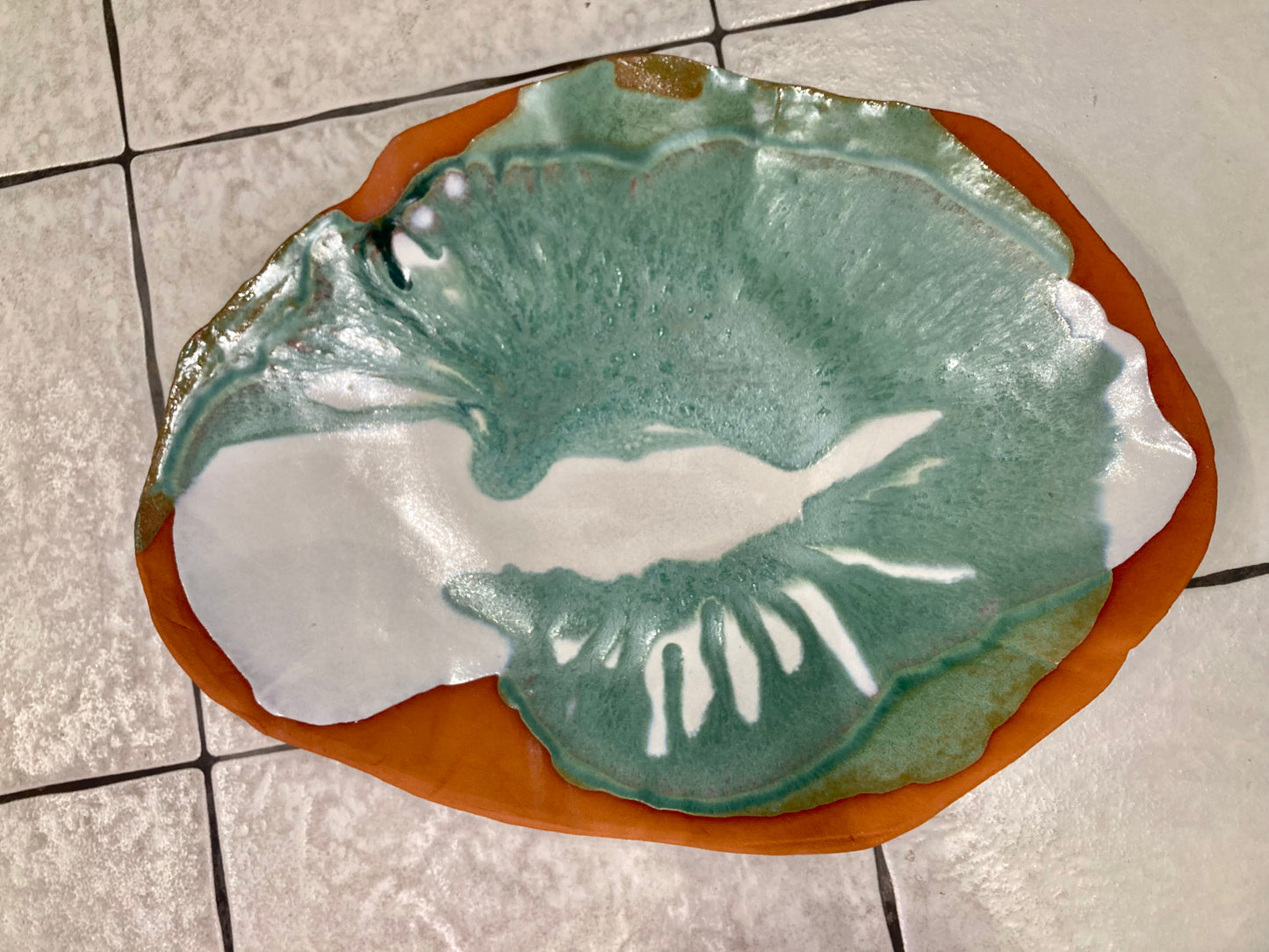 Patera Motyl